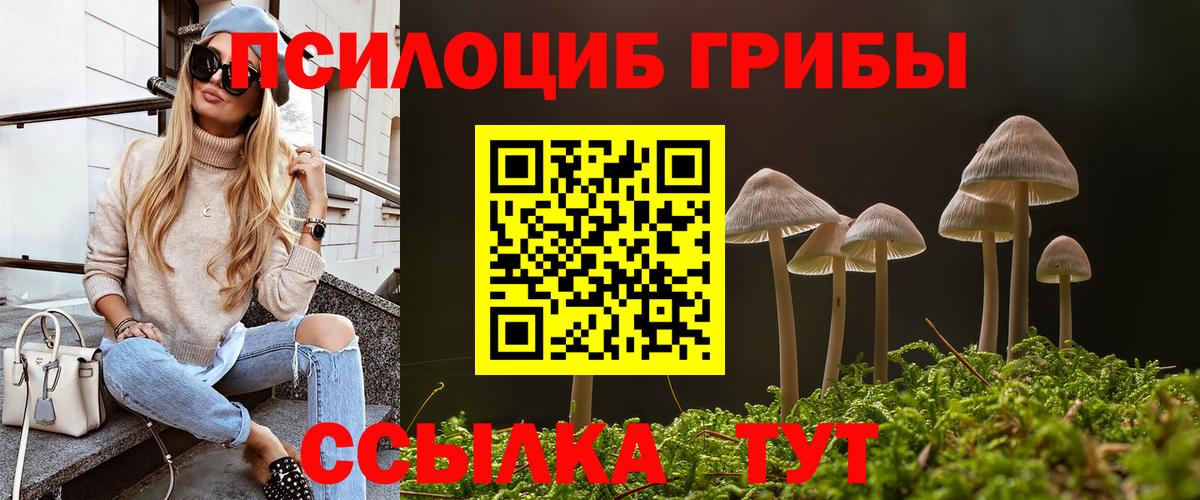 Псилоцибиновые грибы прущие грибы Дятьково