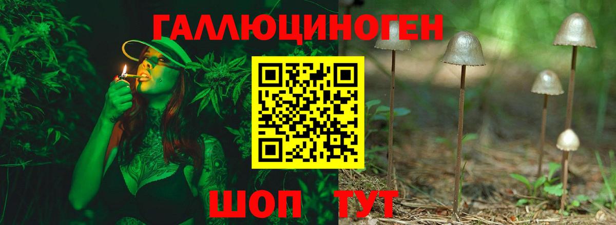 Псилоцибиновые грибы GOLDEN TEACHER  Галлюциногенные грибы мицелий  Дятьково  Вход с VPN 